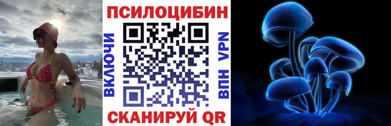 как найти закладки  Струнино  Псилоцибиновые грибы GOLDEN TEACHER 